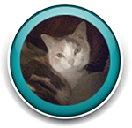 Our Team page Anna Marie