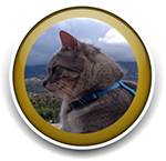 Pet Sitting and Dog Walking Colorado Springs