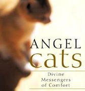 recommended reading