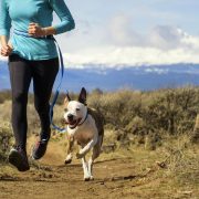 Dog Friendly Hiking Colorado Springs