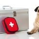 Pet Sitting and Dog Walking Colorado Springs