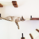 Pet Sitting and Dog Walking Colorado Springs
