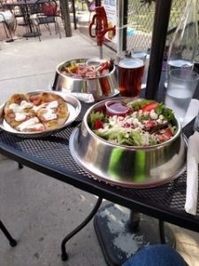 Pet Sitting and Dog Walking Colorado Springs
