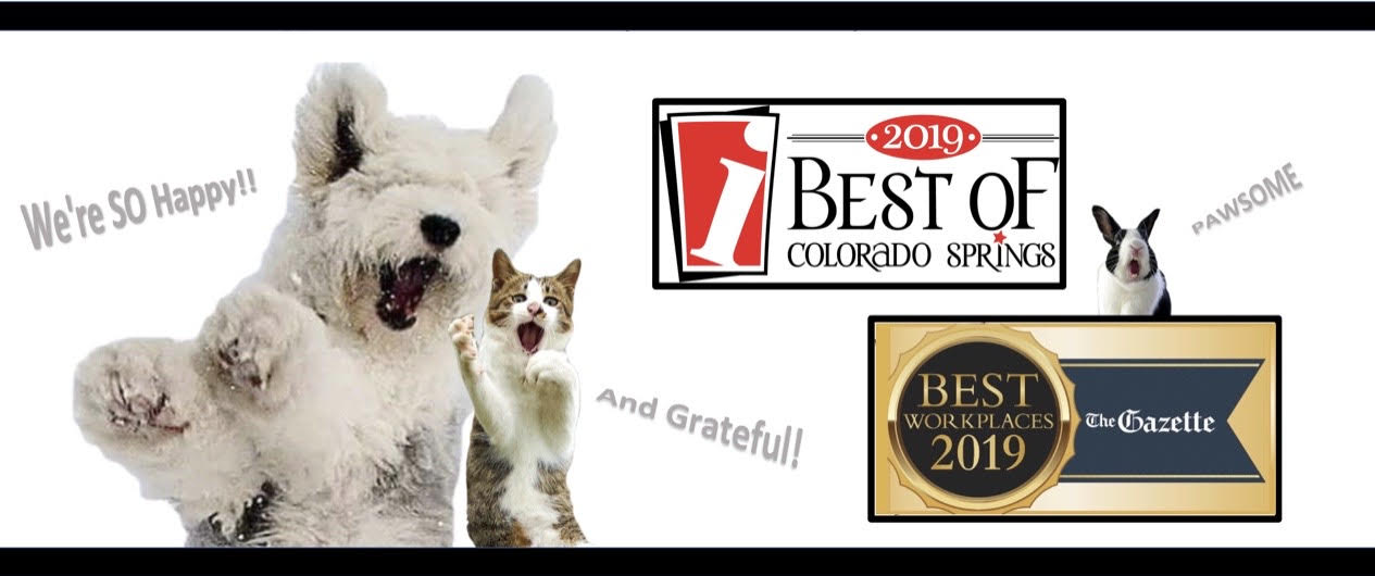 PlayTime Pet Sitters and Dog Walkers Serving Colorado Springs and