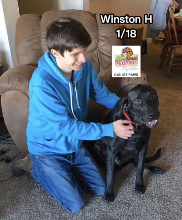 pet taxi colorado springs