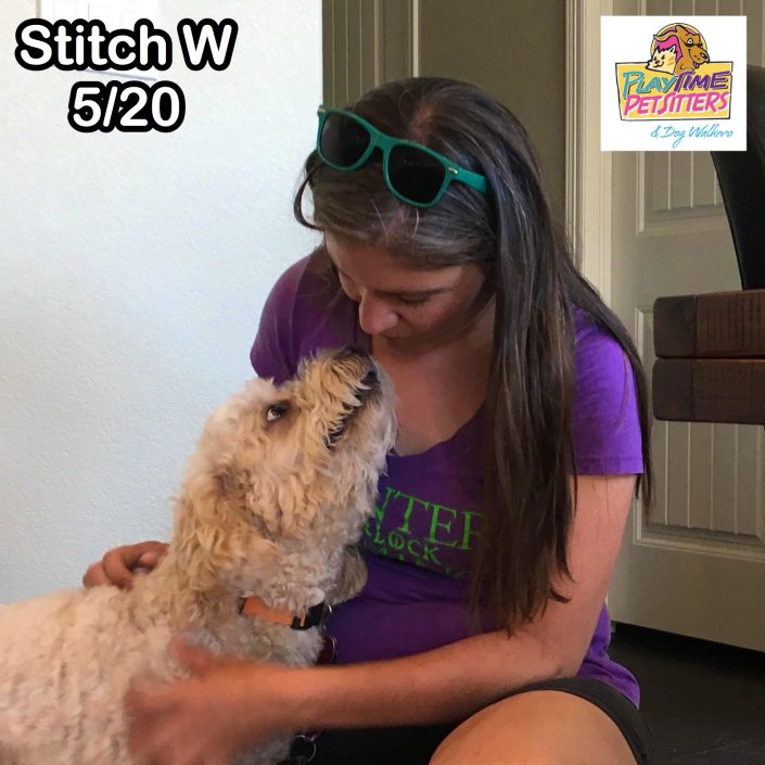 best pet sitters colorado springs
