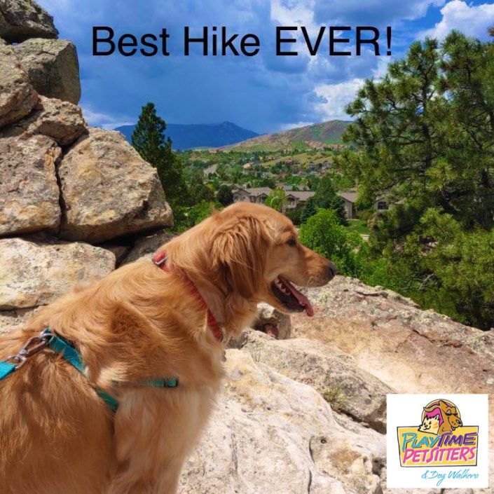 dog hikes colorado springs