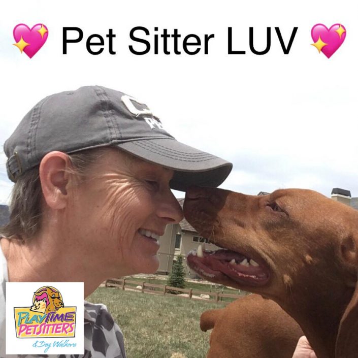 pet sitters colorado springs