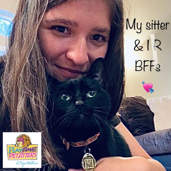 playtime pet sitters colorado springs
