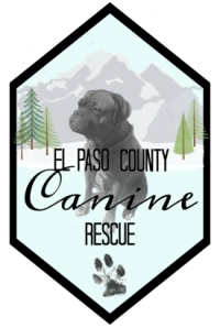 Pet Sitting and Dog Walking Colorado Springs