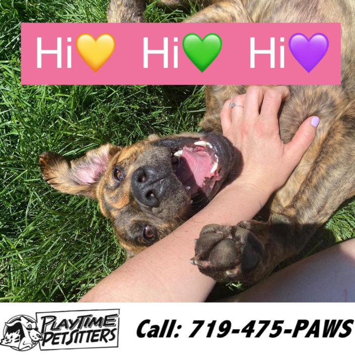 Pet Sitting and Dog Walking Colorado Springs