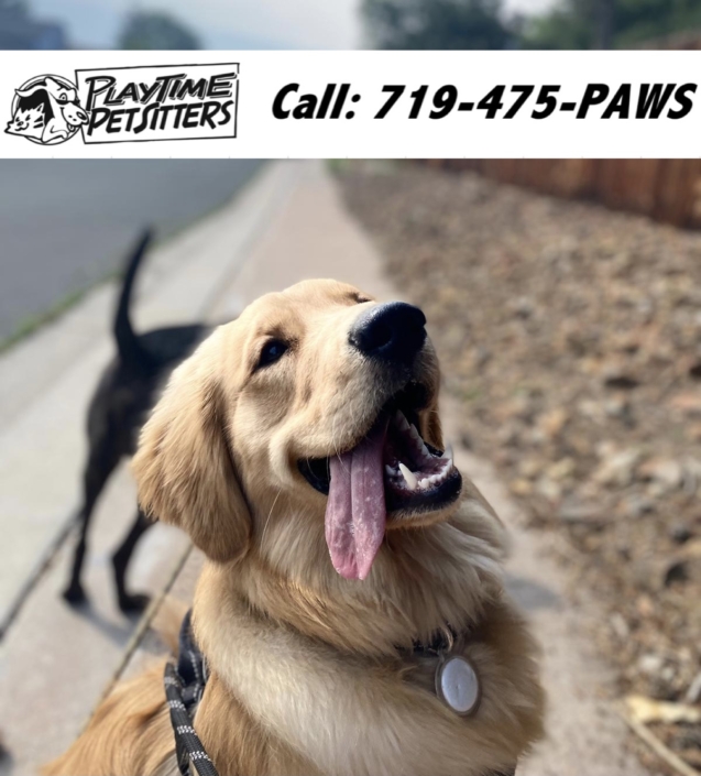 Pet Sitting and Dog Walking Colorado Springs