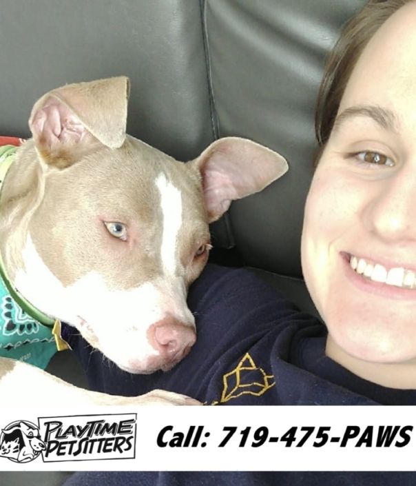 Pet Sitting and Dog Walking Colorado Springs