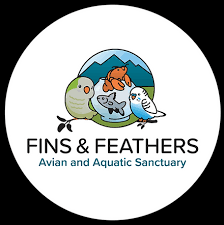 Pet Sitting and Dog Walking Colorado Springs