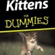 recommended reading kittens for dummies
