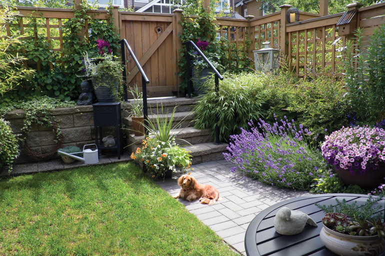 Pet Friendly Landscaping Playtime Pet Sitters Dog Walkers