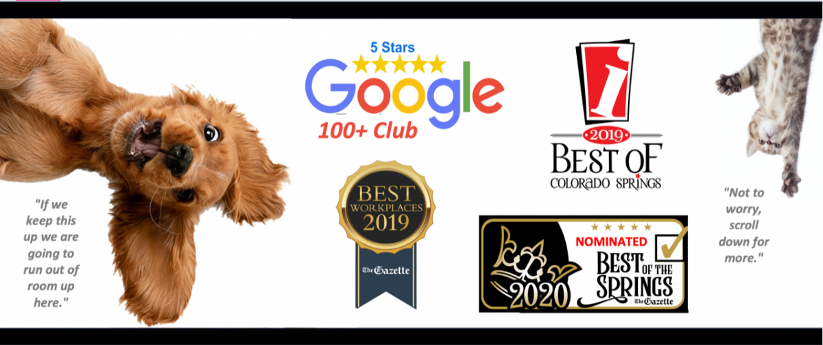 Best Pet Sitters & Dog Walkers Colorado Springs I PlayTime Pet Sitters