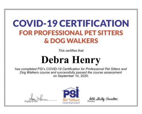 Pet Sitting and Dog Walking Colorado Springs