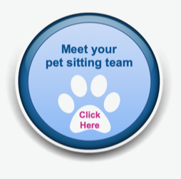 Pet Sitting and Dog Walking Colorado Springs