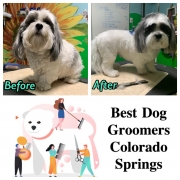 Pet Sitting and Dog Walking Colorado Springs