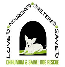 animal rescue groups colorado springs