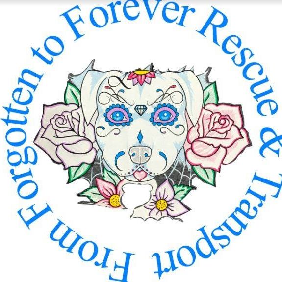 animal rescue groups colorado springs