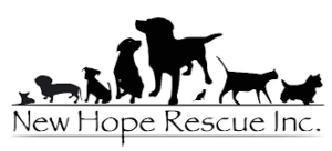 animal rescue groups colorado springs