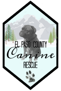 animal rescue groups colorado springs