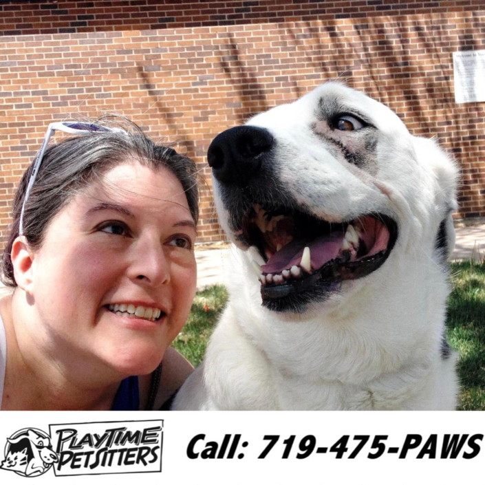 Pet Sitting and Dog Walking Colorado Springs