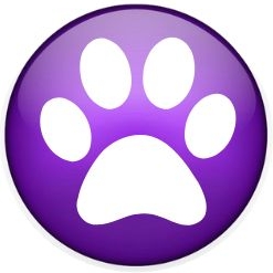 Dog Walkers and Pet Sitters Colorado Springs Pet Sitting and Dog Walking Colorado Springs