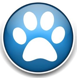 Dog Walkers and Pet Sitters Colorado Springs Pet Sitting and Dog Walking Colorado Springs