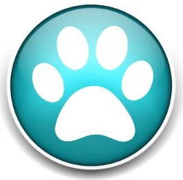 Dog Walkers and Pet Sitters Colorado Springs Pet Sitting and Dog Walking Colorado Springs