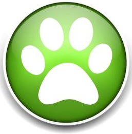 Dog Walkers and Pet Sitters Colorado Springs Pet Sitting and Dog Walking Colorado Springs