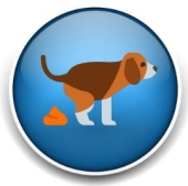 Dog Walkers and Pet Sitters Colorado Springs Pet Sitting and Dog Walking Colorado Springs