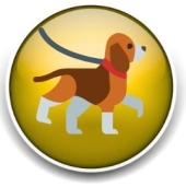 Dog Walkers and Pet Sitters Colorado Springs Pet Sitting and Dog Walking Colorado Springs