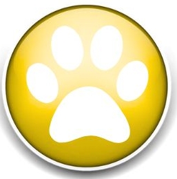Dog Walkers and Pet Sitters Colorado Springs Pet Sitting and Dog Walking Colorado Springs