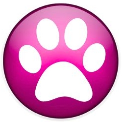 Dog Walkers and Pet Sitters Colorado Springs Pet Sitting and Dog Walking Colorado Springs