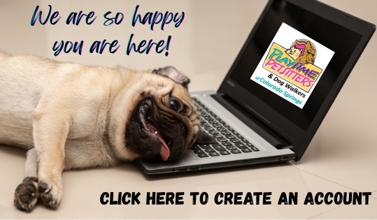 Dog Walkers and Pet Sitters Colorado Springs Pet Sitting and Dog Walking Colorado Springs