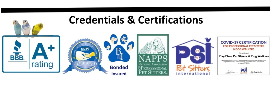 Dog Walkers and Pet Sitters Colorado Springs Pet Sitting and Dog Walking Colorado Springs