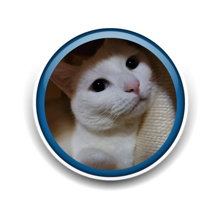 Pet Sitting and Dog Walking Colorado Springs